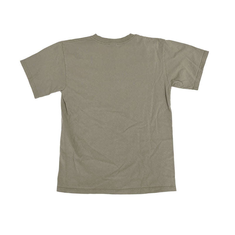 Vintage 2006 James Taylor Summer Tour Green T-Shirt